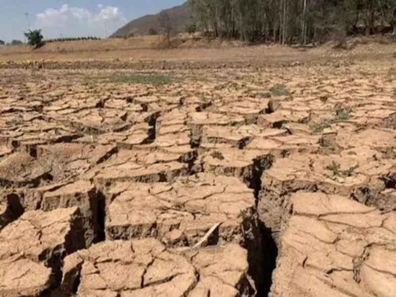 神健粮机——多地几个月未降雨，会出现干旱吗？